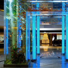 34)Le Royal Méridien Shanghai—Ai Mei Chinese Restaurant Aquarium 拍攝者.jpg