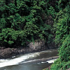 30)Le Meridien Kochi—Kerala Rivers 拍攝者.jpg