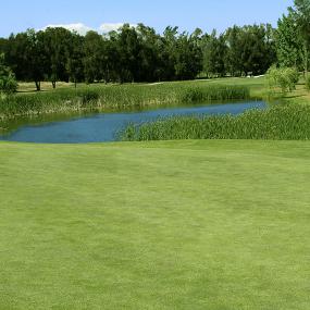 33)Le Meridien Penina Golf &_ Resort—Sir Henry Cotton Championship Golf Course 拍攝者.jpg