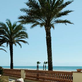 41)Le Meridien Ra Beach Hotel &_ Spa—Terraza Piano Bar 拍攝者.jpg