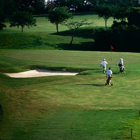 34)The Westin Resort, Macau—Golf 拍攝者.jpg