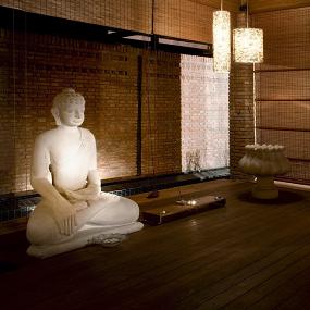 66)The Westin Sohna Resort &_ Spa—Sanctuary - The Yoga Room 拍攝者.jpg