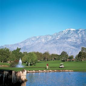 32)The Westin Mission Hills Resort &_ Villas—Golf Course 拍攝者.jpg