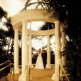 25)The Westin Maui Resort &_ Spa, Ka'anapali—Wedding Gazebo 拍攝者.jpg