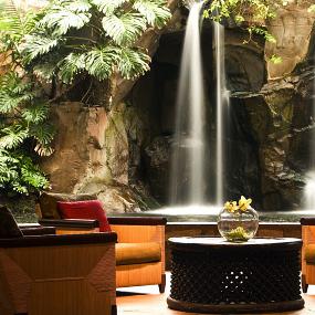 35)The Westin Maui Resort &_ Spa, Ka'anapali—Main Lobby 拍攝者.jpg