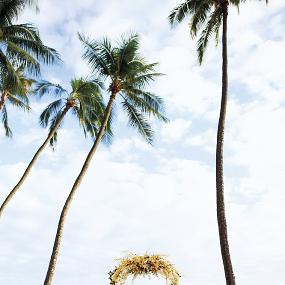 17)Moana Surfrider, A Westin Resort &_ Spa, Waikiki Beach—Diamond Lawn Wedding 拍攝者.jpg