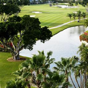 67)The Westin Diplomat Resort &_ Spa, Hollywood, Florida—Golf View from room 拍攝者.jpg