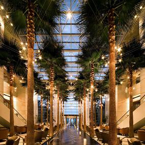 32)The Westin Diplomat Resort &_ Spa, Hollywood, Florida—Lobby 3 拍攝者.jpg