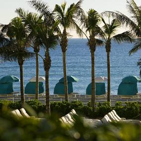 26)The Westin Diplomat Resort &_ Spa, Hollywood, Florida—Beach Cabanas 拍攝者.jpg