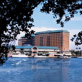 1)The Westin Tampa Harbour Island—Westin at dusk 拍攝者.jpg