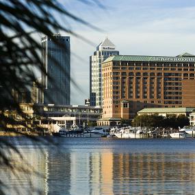 1)The Westin Tampa Harbour Island—Westin at dusk 拍攝者.jpg