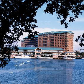 10)The Westin Tampa Harbour Island—Exterior 2 拍攝者.jpg