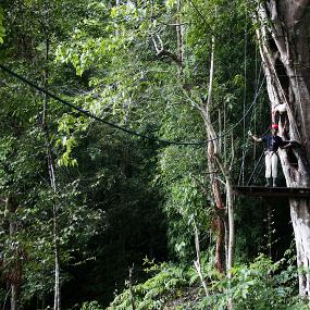 63)The Westin Langkawi Resort &_ Spa—Canopy Trekking 拍攝者.jpg