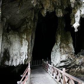 64)The Westin Langkawi Resort &_ Spa—Entrance to the bat cave during mangrove tourexcursion 拍攝.jpg