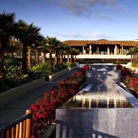 17)The St. Regis Punta Mita Resort—Exterior Altamira 拍攝者.jpg