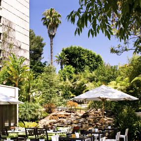 29)W Los Angeles - Westwood—Backyard 拍攝者.jpg