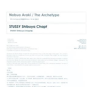 STUSSY SHIBUYYA CHAPT