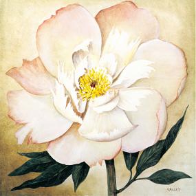 拉蒙特-梵谷 金箔手绘家具画廊资料2013（第5版）花卉系列4