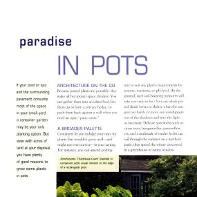 paradise in pots