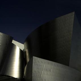 美国_洛杉磯迪士尼音樂廳(Frank O. Gehry)