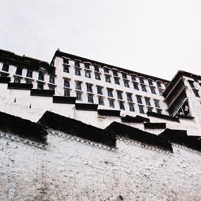 西藏特色建筑 (72).JPG