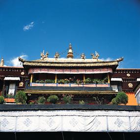 西藏特色建筑 (274).JPG