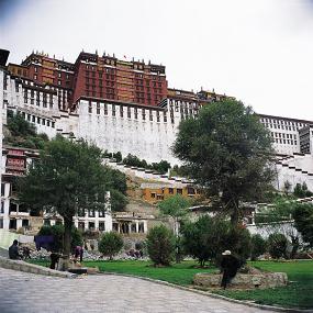 西藏特色建筑 (270).JPG
